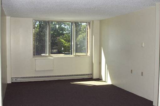 Westchester Park Apartments – Living Room – Kenmore Area – Efficient Appliances Included - 24 Hour Emergency Maintenance – Pet Friendly – Ask for a Tour - Cable Ready – Carpeting - Intercom Access
