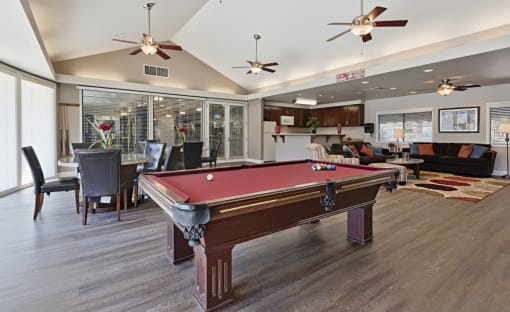 Lakeside Clubhouse Pool Table