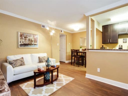 Furnished living and dining area