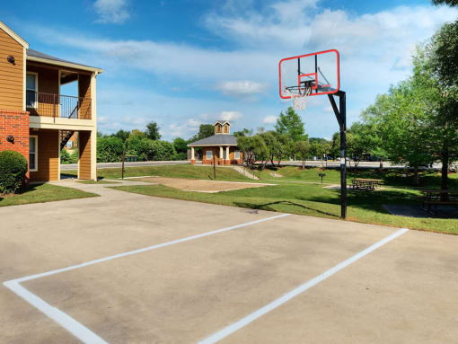 Basketball court