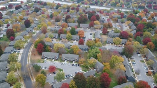 an aerial view of a neighborhood with colorful trees