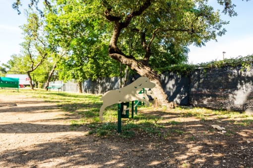 dog friendly apartments in san antonio texas