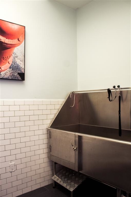 Pet_Wash at Holmes Beverly, Massachusetts, 01915