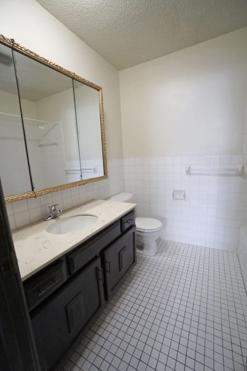 Old Hudson Place - Bathroom, St. Paul, Minnesota
