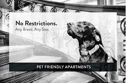 Charlton Terrace pet friendly, West St. Paul, Minnesota