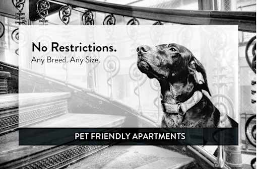 Brewster Place pet friendly, St. Paul, Minnesota
