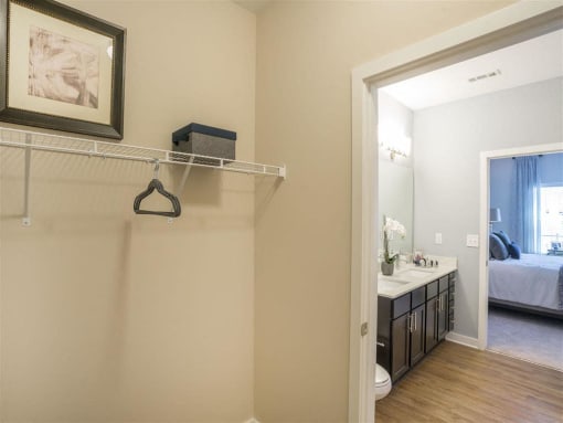 Pointe at Prosperity Village Walk-In Closets With Built-In Shelving in Charlotte Rentals