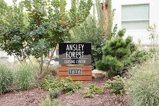 A sign for Ansley Forest Leasing Center is in front of a building.