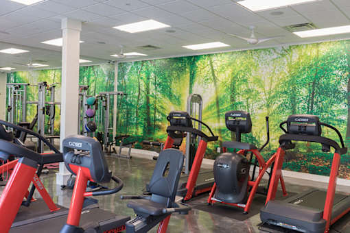 A gym with treadmills and exercise equipment.