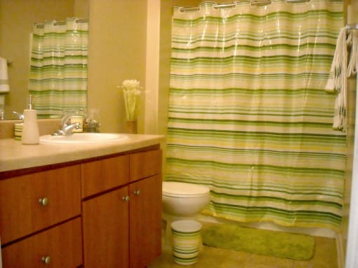 bathroom in lumpkin park apartment home