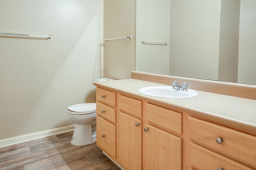 Bathroom at Piedmont Park Apartments, Mississippi