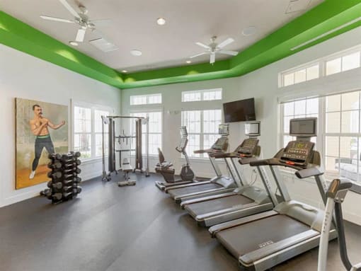 Cardio Machines In Gym at Century Avenues Apartments, Florida, 33813
