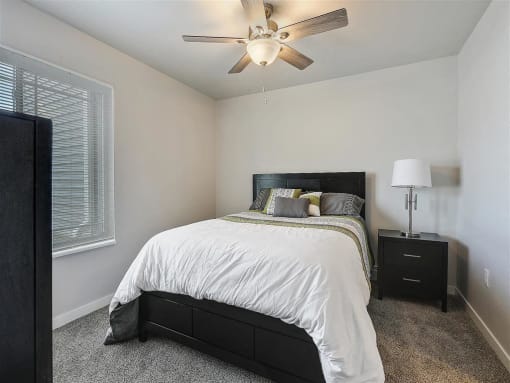 Primary Bedroom with Large Window