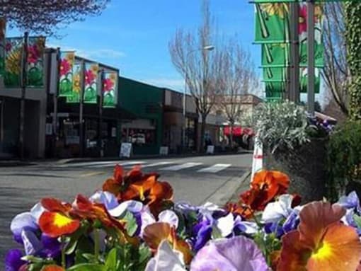 Street with flowers at Arterra Woods, Bothell, 98011
