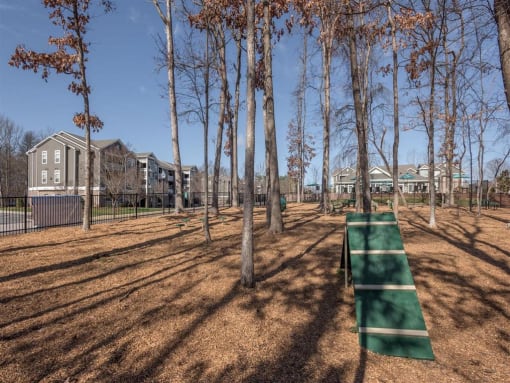 Paw Park