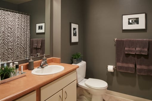 The Sitka Unit Bathroom