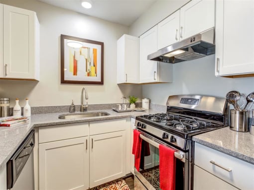 White Cabinet Kitchen