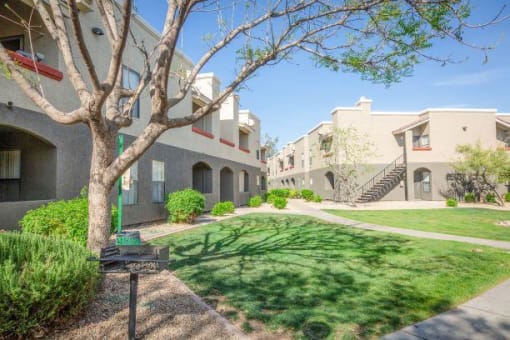 Green Spaces With Mature Trees at Ranchwood Apartments, Glendale, AZ