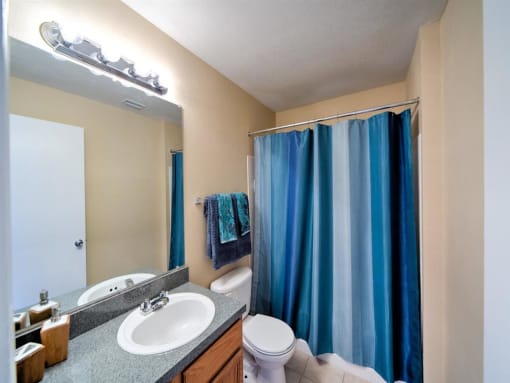 Bathroom with large mirror and vanity lighting