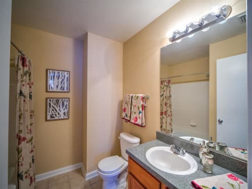 Furnished model bathroom with large mirror and vanity lighting
