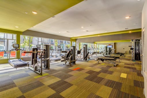 GYM 3 at Artisan Twickenham Square, Huntsville, 35801