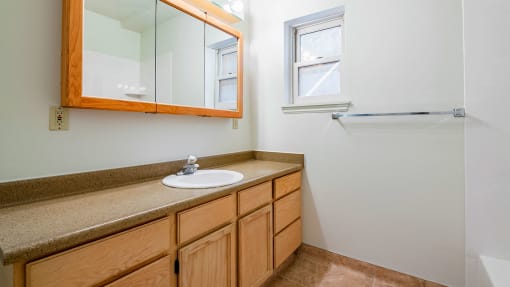 Bathroom with wood cabinetry and brown granite countertop