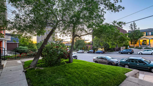 View of the front yard with two trees overlooking the street