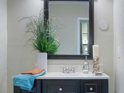 Bathroom sink at Ventana at The Lake, Hendersonville, TN 37075.