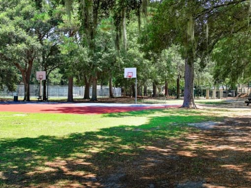 Lush Green Outdoor at The Palms, South Carolina, 29407