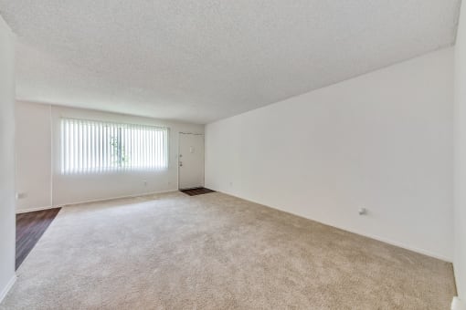 Living room ; Carpet Floors