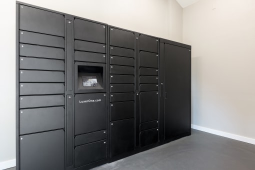 Package Locker at Northgreen at Carrollwood, Florida, 33624