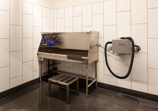 Dog wash room