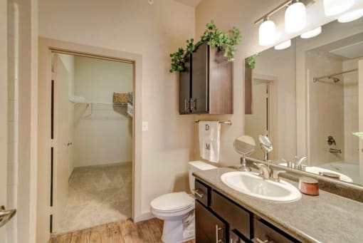 Model Unit - Bathroom - One Sink - Entrance to Walk-In-Closet  at District at Medical Center, San Antonio, TX