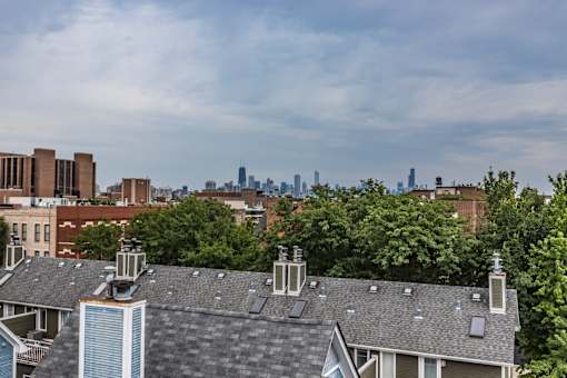 Rooftop View
