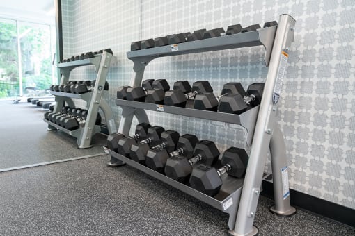We have all the weights you could need  at Grand Flats, St. Louis, 63104