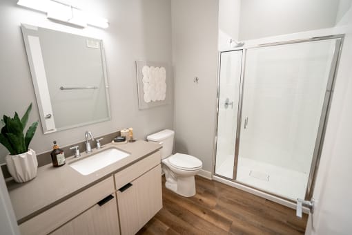 you are now viewing the main bathroom  at Grand Flats, St. Louis, 63104