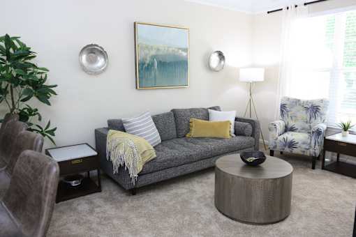 View of the living room model home at Harbour Breeze Apartments in Suffolk Virginia