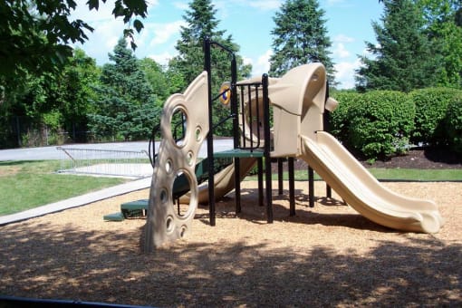 fun for all ages