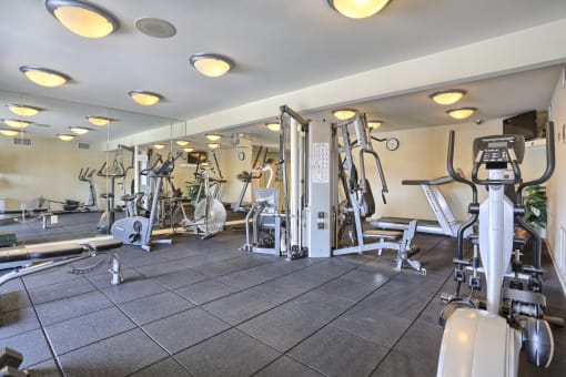 Brighton fitness room