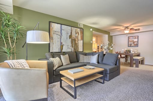 large living room with accent wall