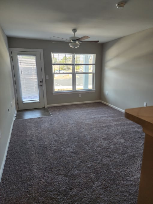 Plush Carpeting at Love Mill, Whiteville, 28472