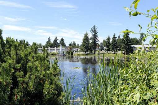Alternate lake view from walking path