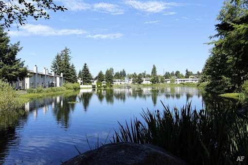 View of lake from walking path