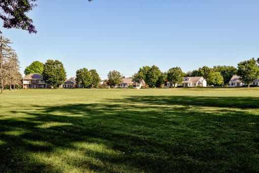 Green Space