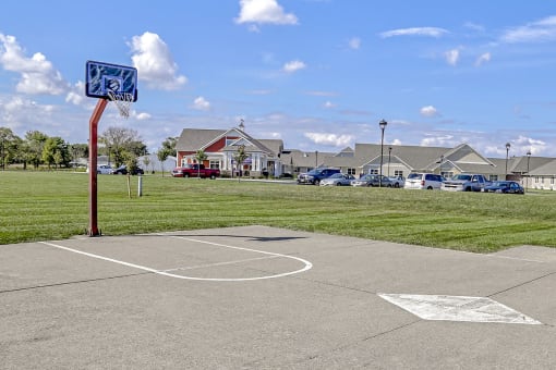 Basketball court