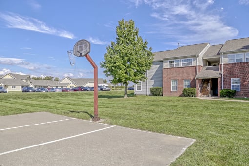 Basketball court