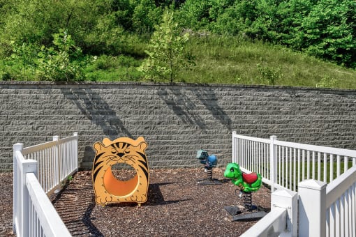 Pheasant playground
