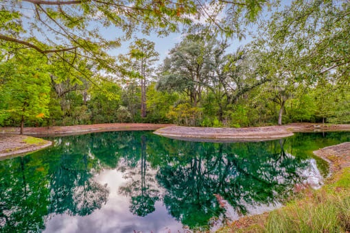 Pond