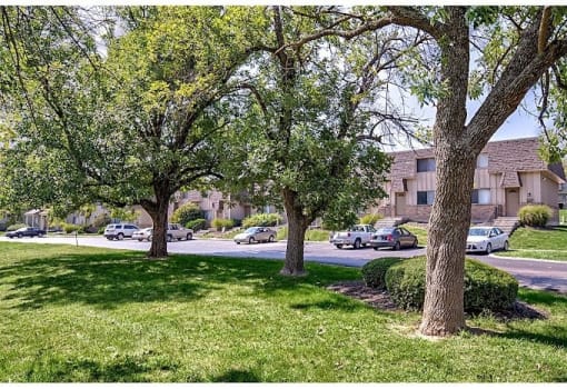 a city street with trees and cars on it