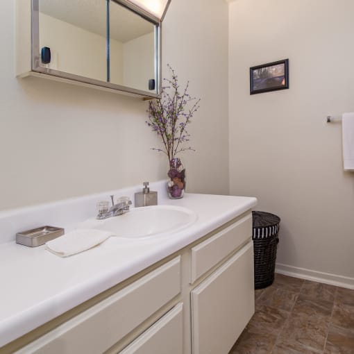 Bathroom Vanity